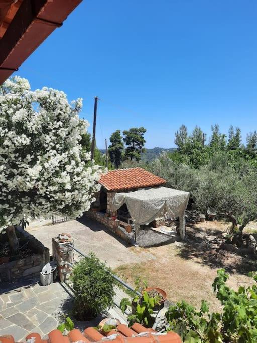 Villa House With View Agia Paraskevi  Esterno foto